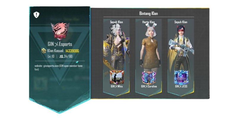 Review Skin Senjata